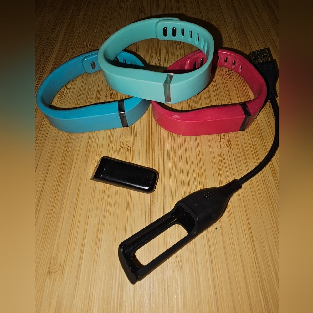 FITBIT Flex Wristband